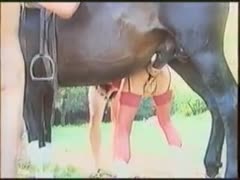 Incredible outdoor bestiality sex video features cougar in red underware getting drilled by a horse 